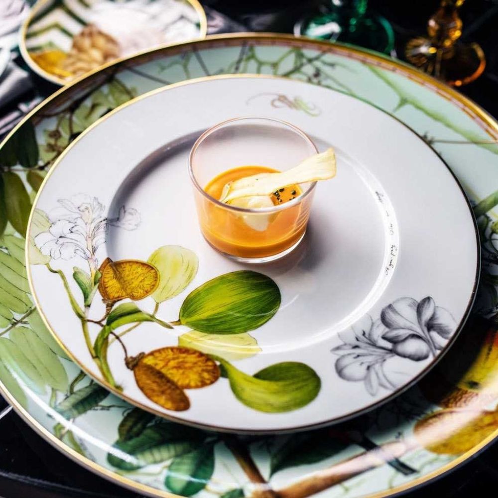 Dinner plate, Amazonia - VISTA ALEGRE