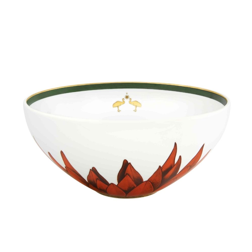 Salad Bowl, Amazonia - VISTA ALEGRE