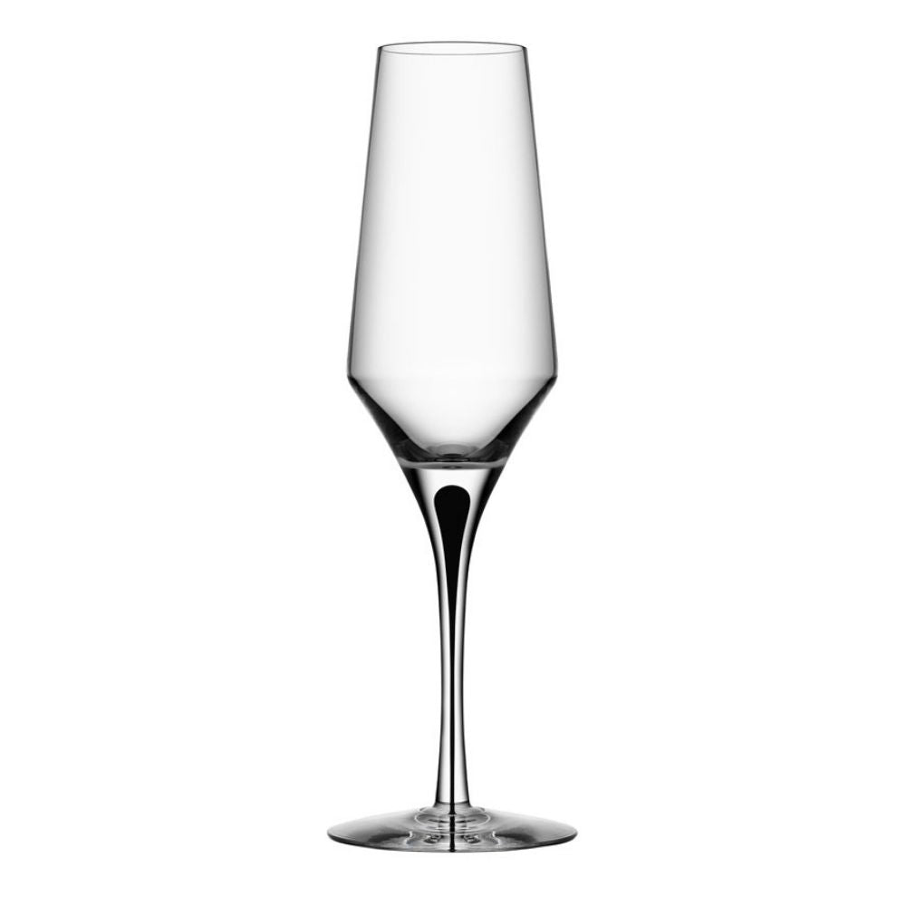Champagne glass, Metropol by Erika Lagerbielke - ORREFORS