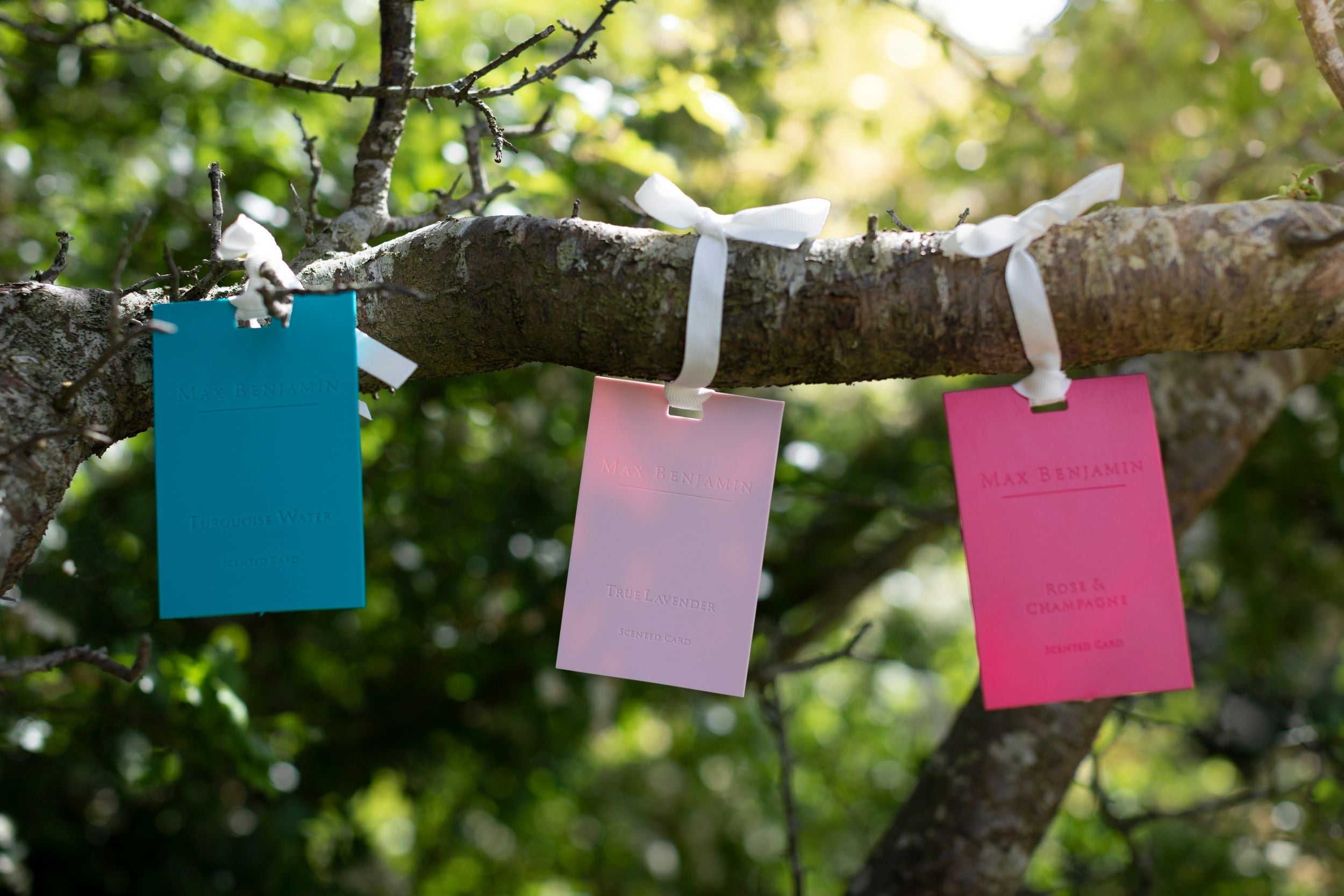 Scented card, Blue Azure, Classic collection - MAX BENJAMIN