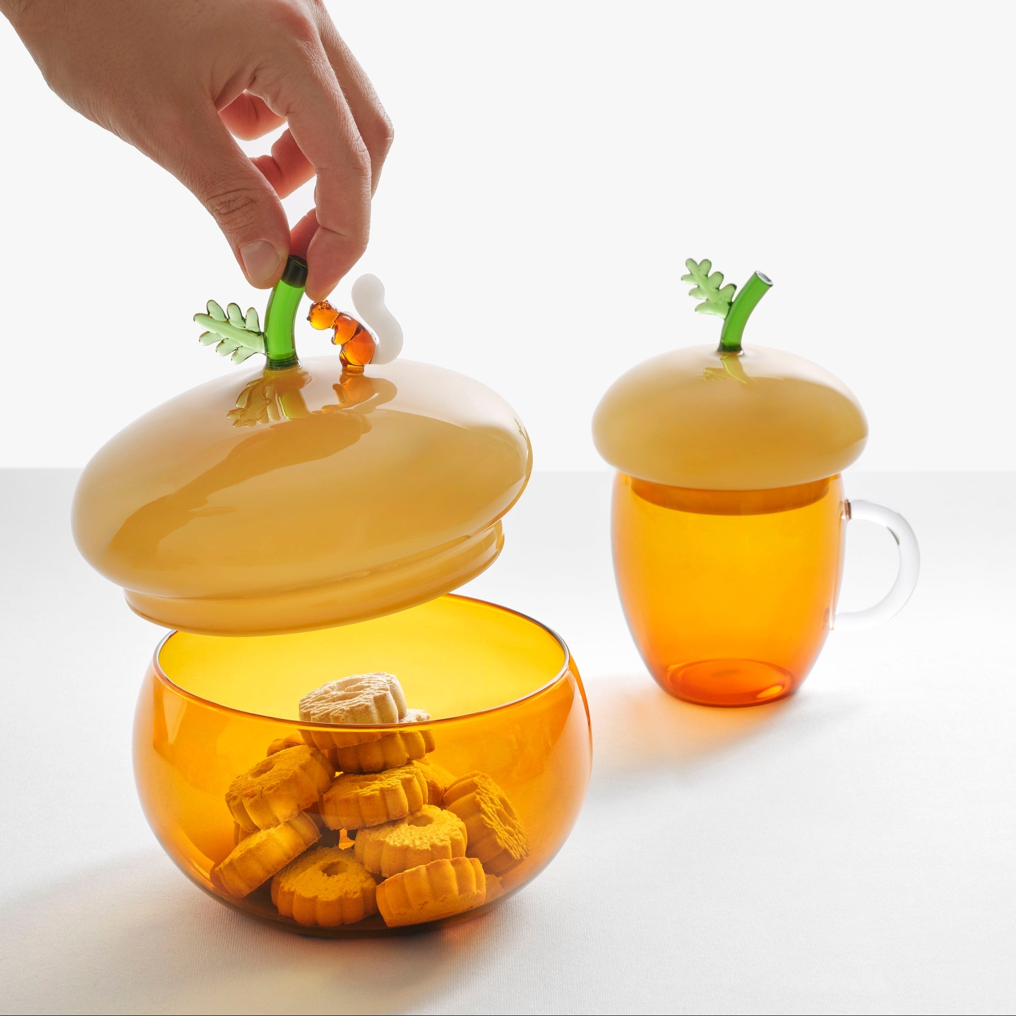 Glass mug with lid, Acorns by Alessandra Baldereschi - ICHENDORF