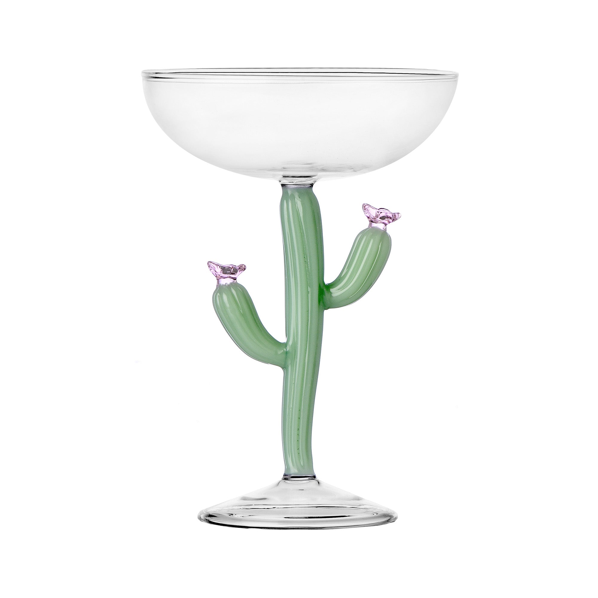 Champagne flute, Cactus Matt Green, Desert Plants by Alessandra Baldereschi - ICHENDORF