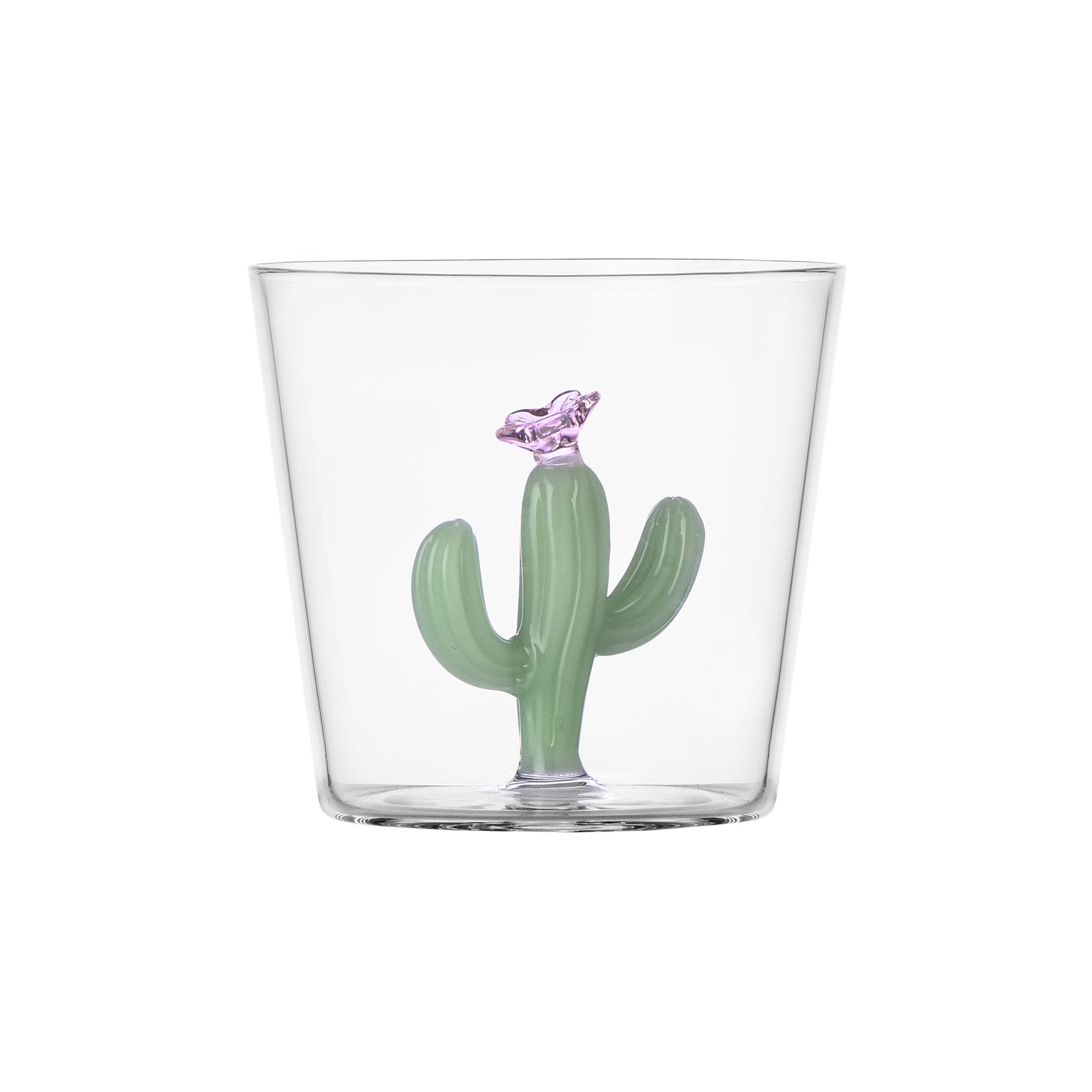 Water glass, Cactus Matt Green, Desert Plants by Alessandra Baldereschi - ICHENDORF