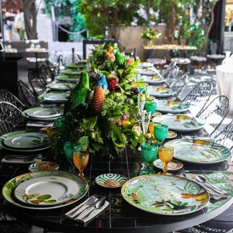 XL Plate, Amazonia - VISTA ALEGRE