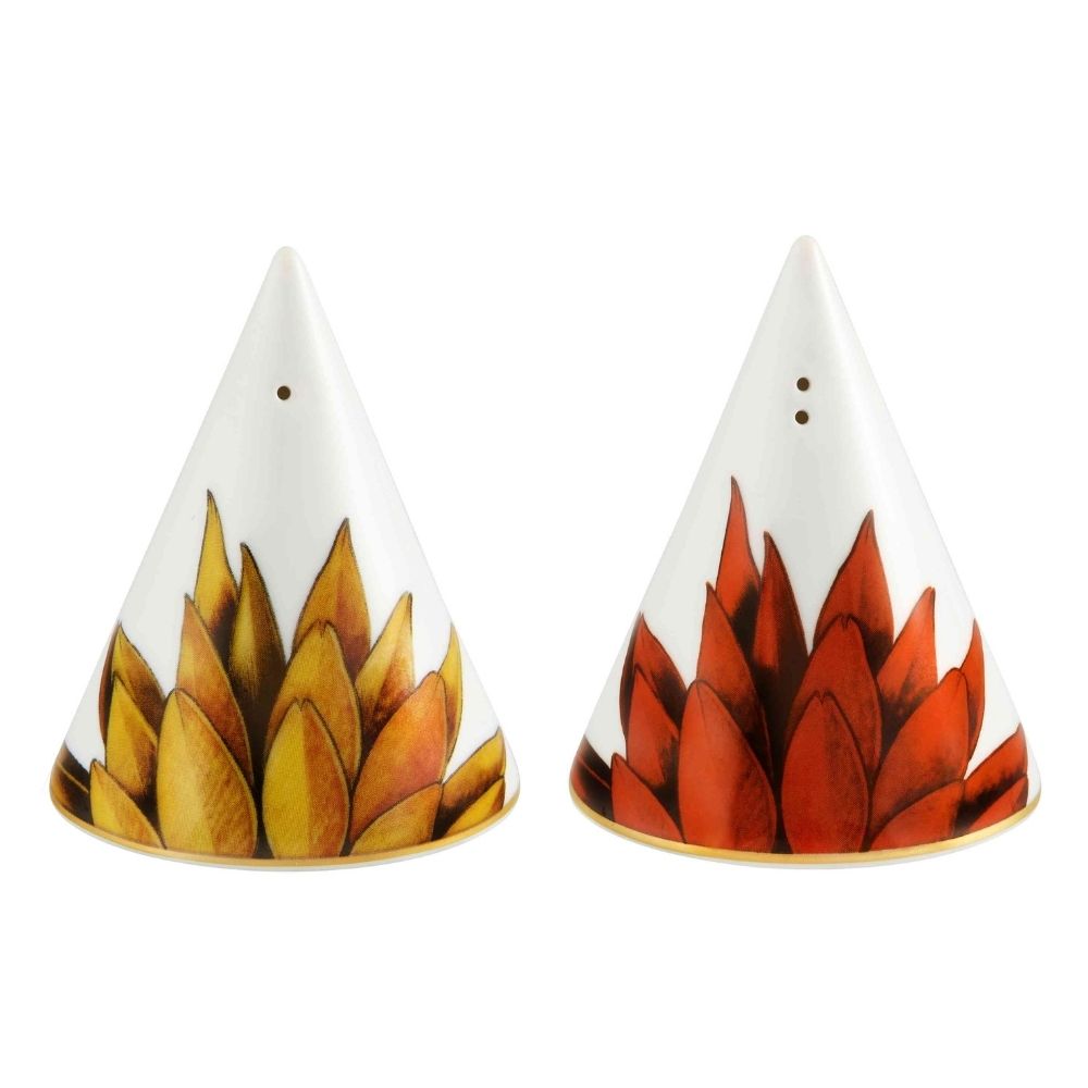 Salt and pepper shaker set, Amazonia - VISTA ALEGRE