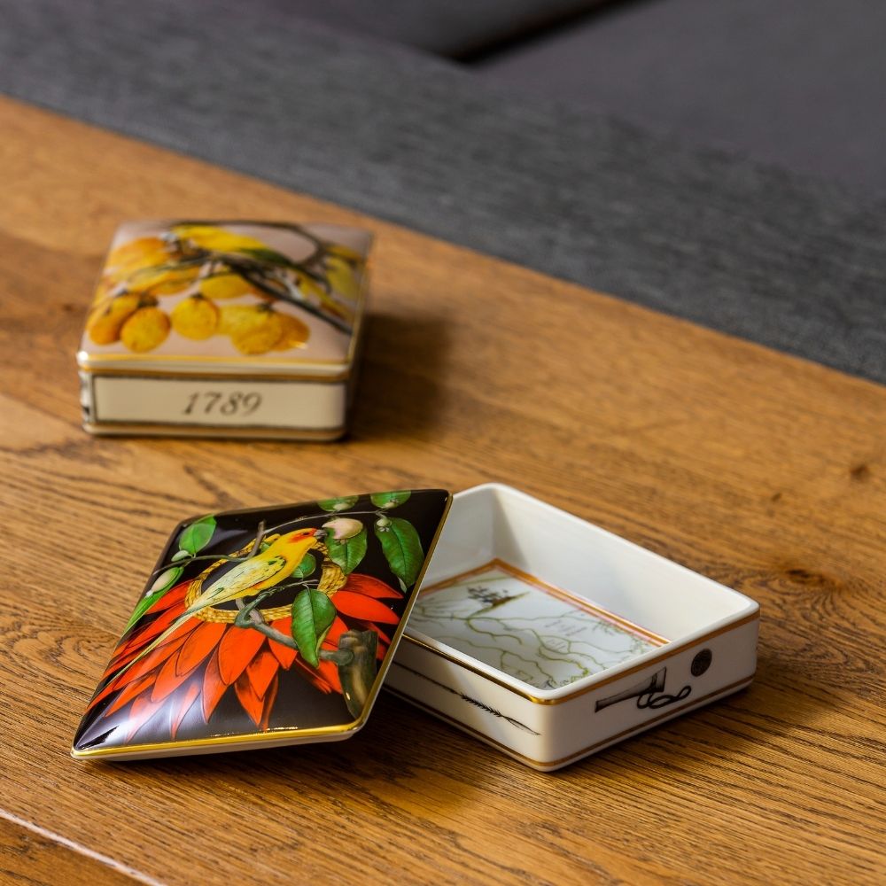 Decorative porcelain box, Amazonia - VISTA ALEGRE