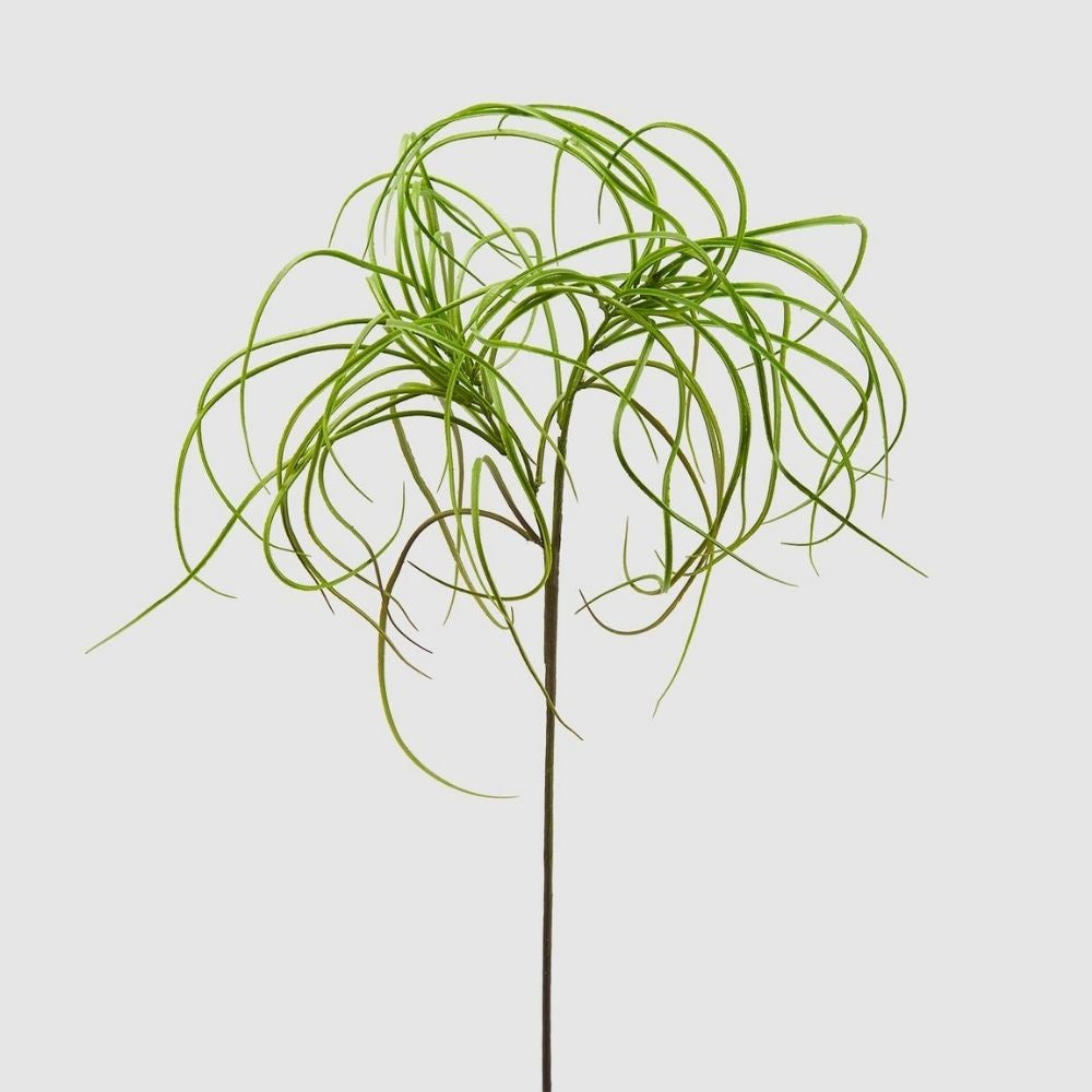 Tislandia Decorative Branch, Green, 33.5 inches - SIMONA'S COLLECTION