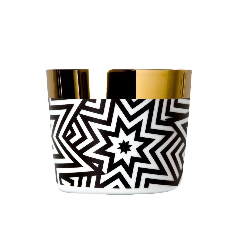 Champagne Glass, Sip of Gold Stars - FURSTENBERG