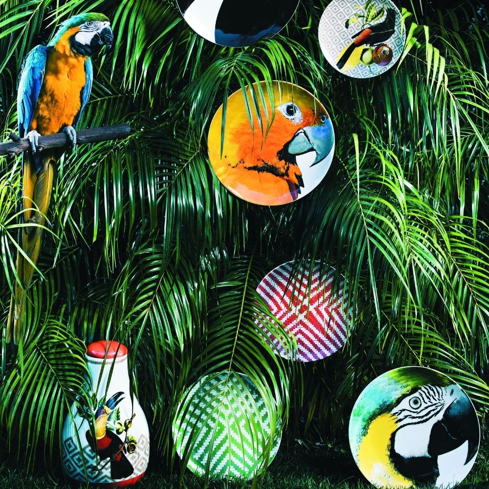 Tea cup and saucer, Look at Brazil by Chico Gouvea - VISTA ALEGRE