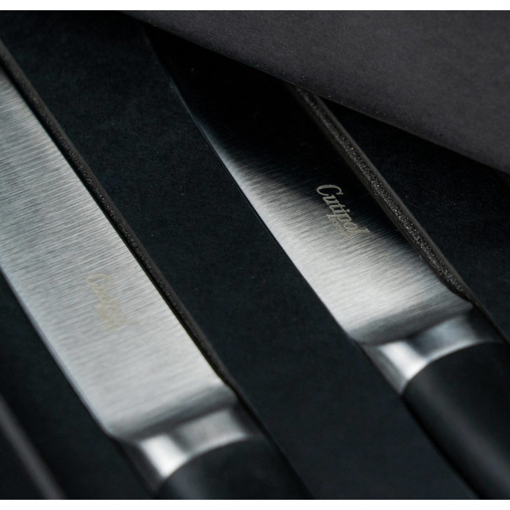 Set of 2 meat knives, made of stainless steel, Rib - CUTIPOL